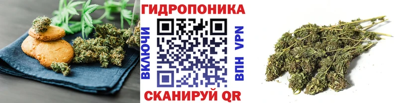 Canna-Cookies конопля  Славгород 