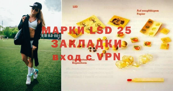 дживик Аркадак